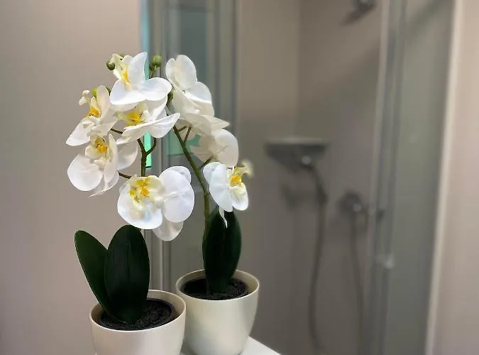 Golja Guest house Bled