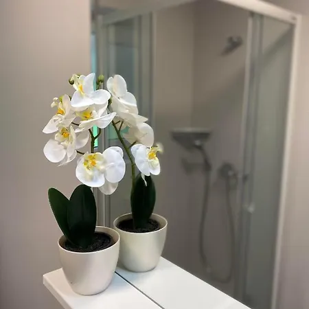 歌莉娅旅馆 招待所 布莱德